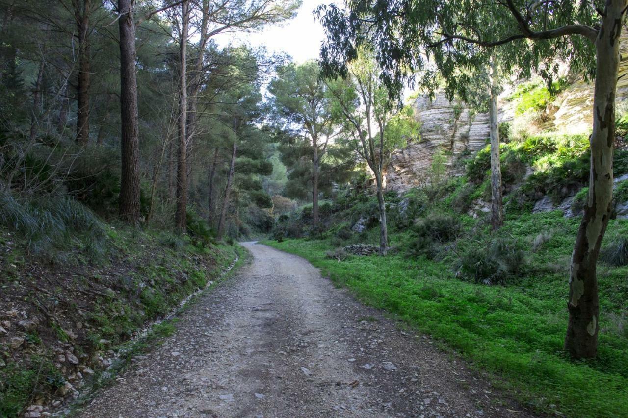 La Dimora Di Segesta B&B Calatafimi Exteriér fotografie