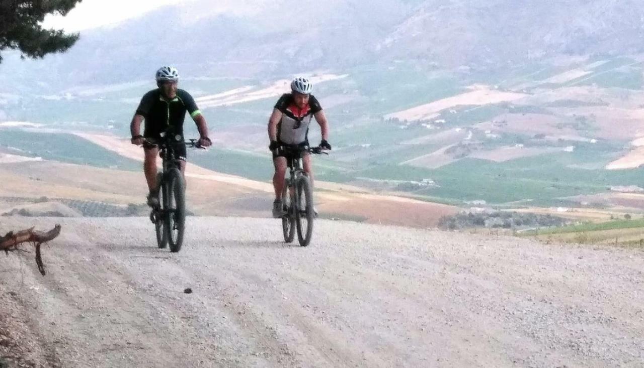 La Dimora Di Segesta B&B Calatafimi Exteriér fotografie